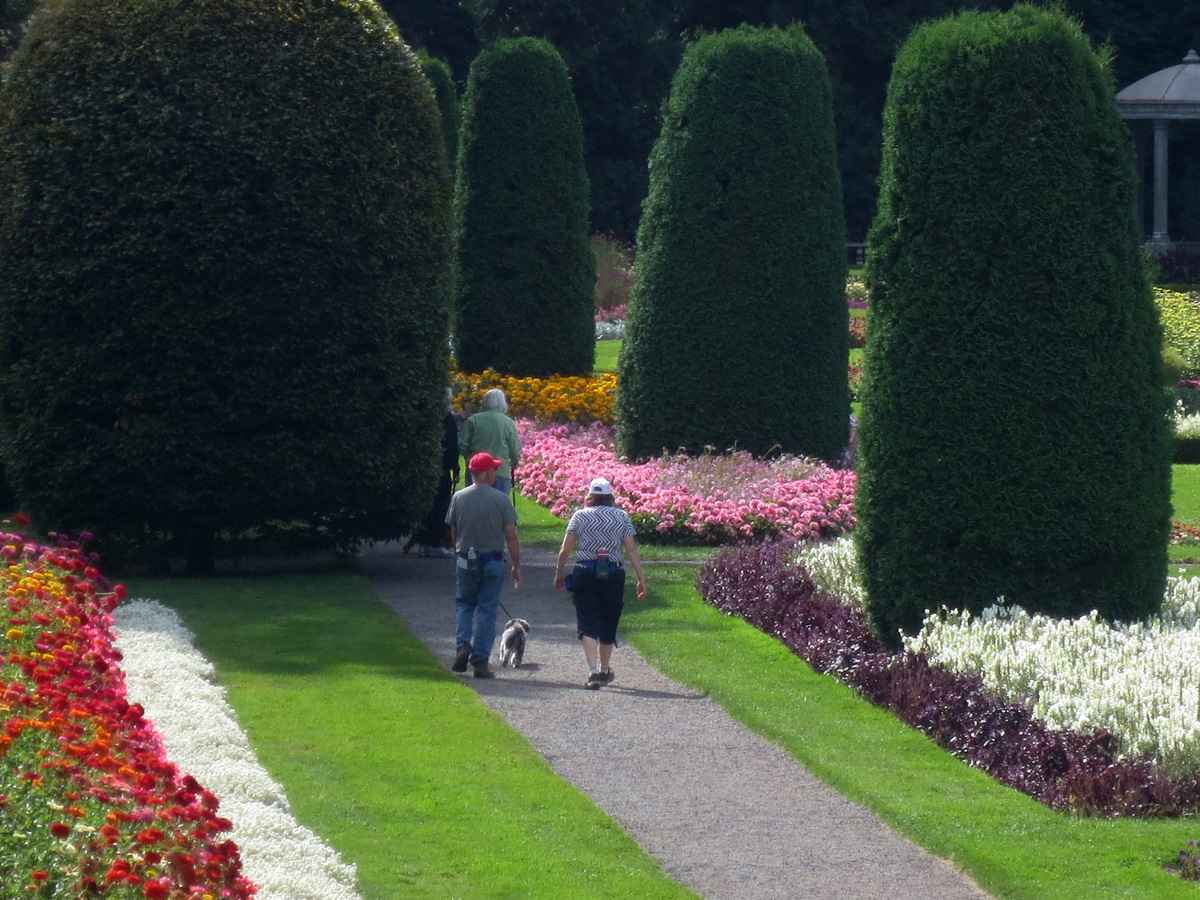 Walk in park by Susan Fluegel